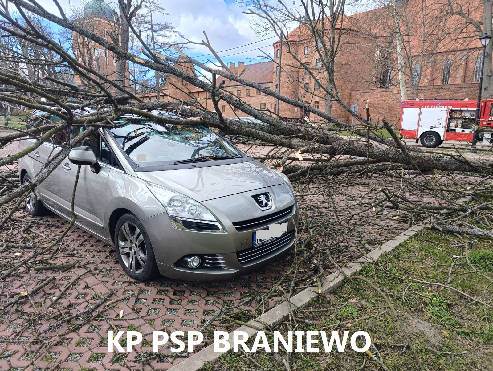 Silny wiatr dał się we znaki. Braniewscy strażacy w akcji
